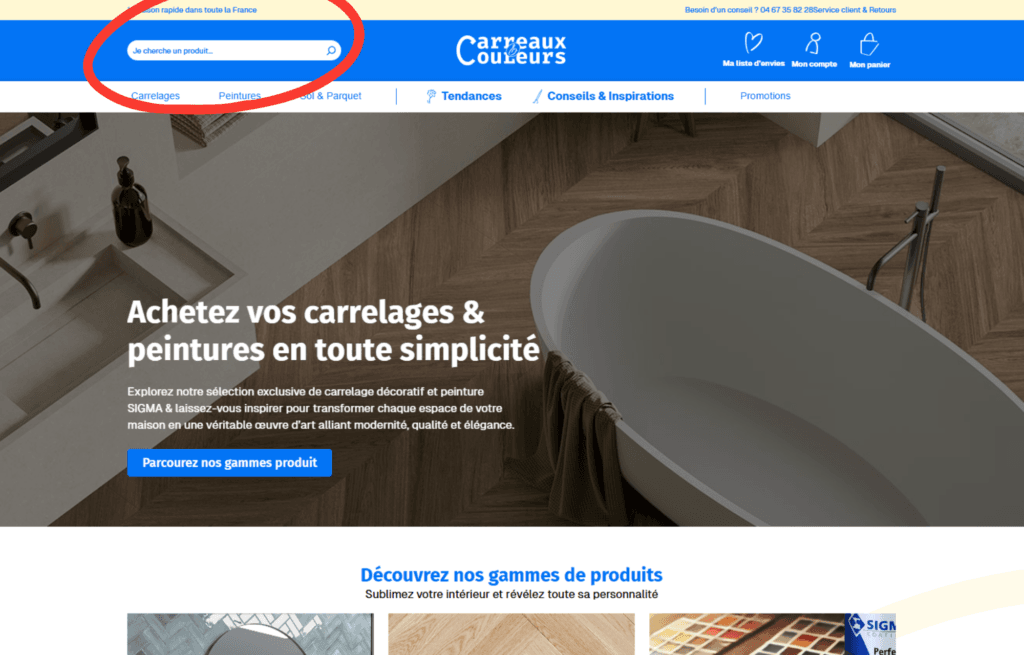 Barre de recherche - Accessibilité numérique